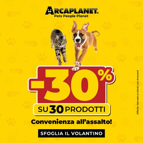arcaplanet-30